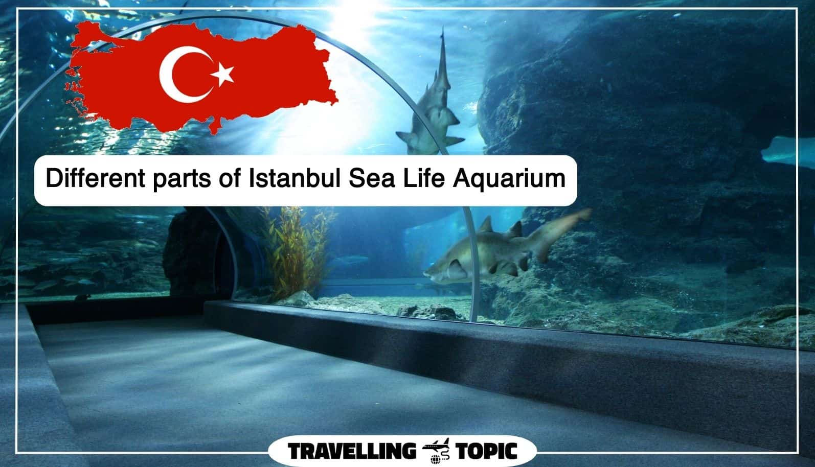 Different parts of Istanbul Sea Life Aquarium