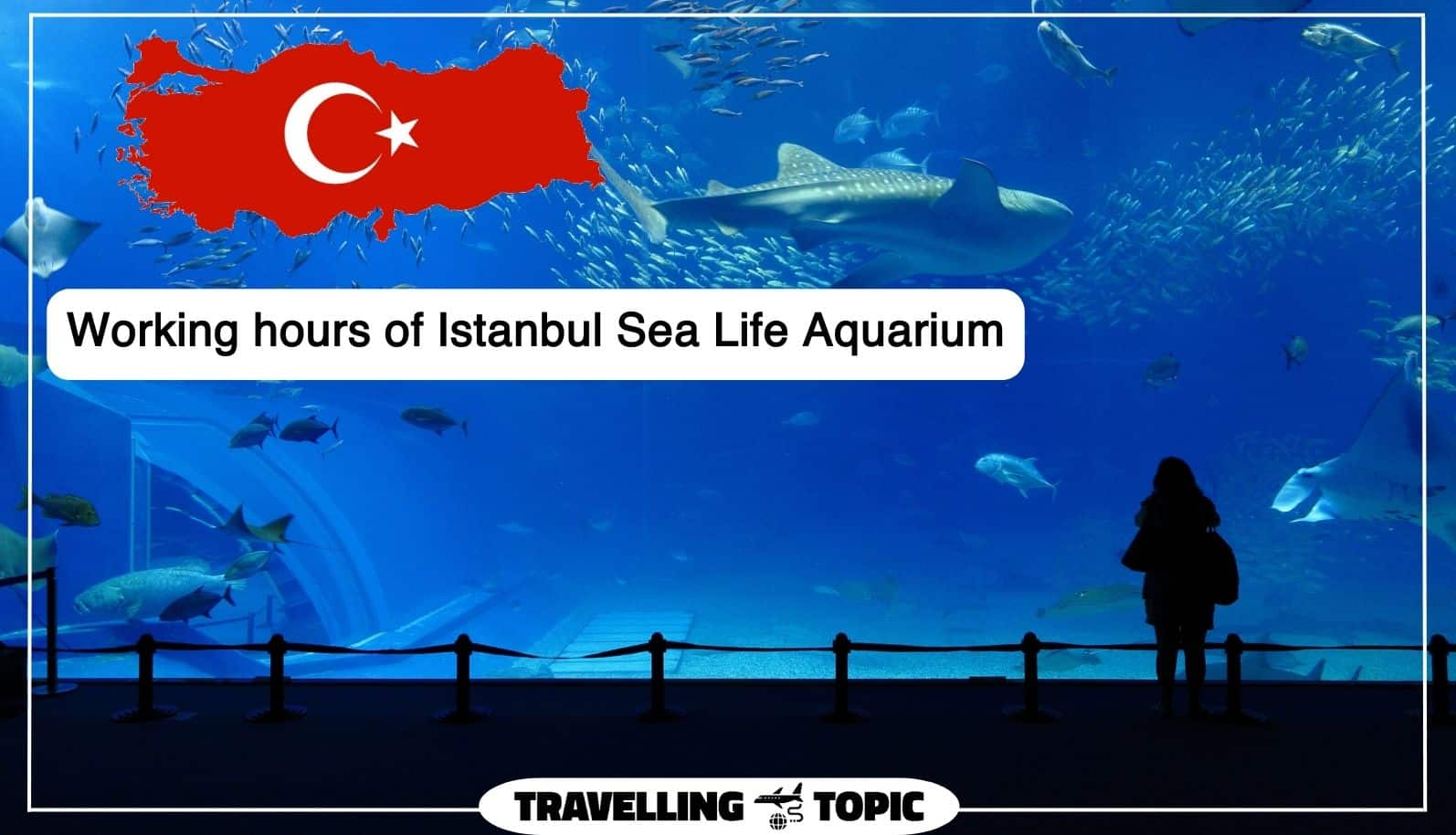 Working hours of Istanbul Sea Life Aquarium