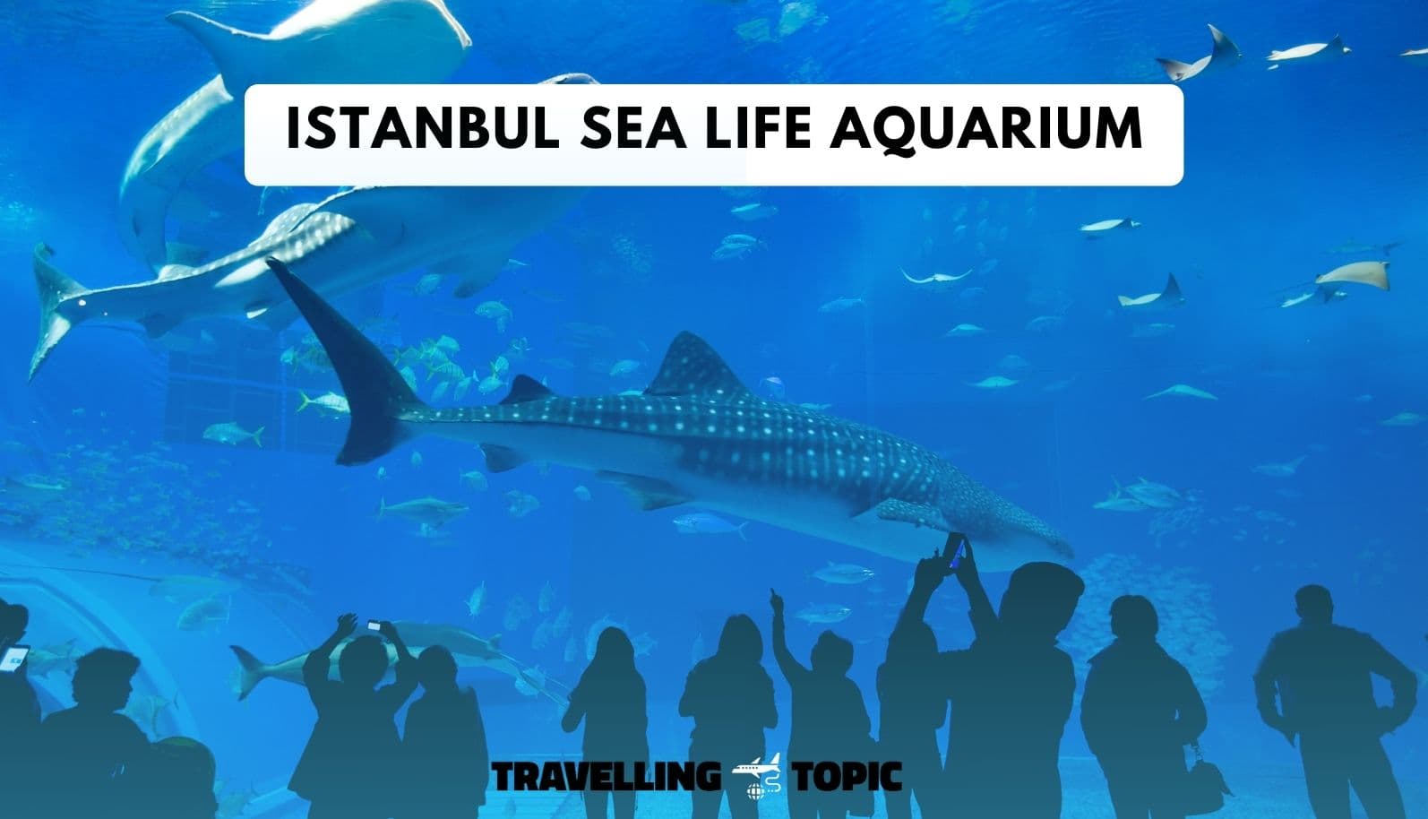 Istanbul sea life aquarium