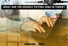 what are the highest paying jobs in turkey