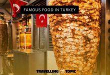 famous foods of Turkey