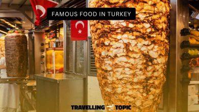 famous foods of Turkey