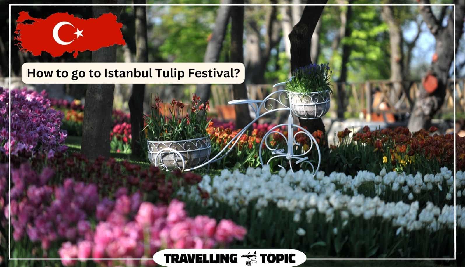 How to go to Istanbul Tulip Festival