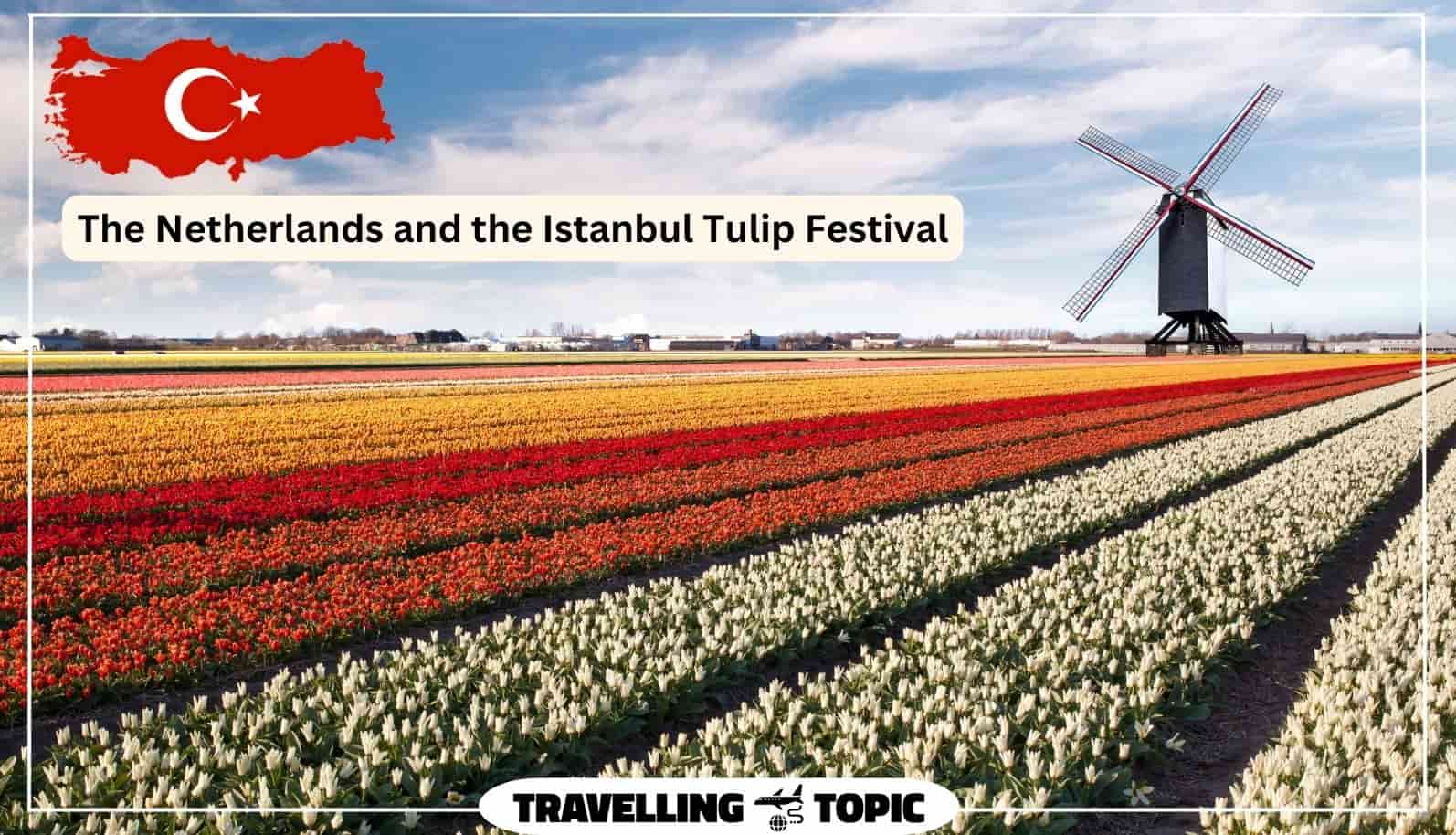 The Netherlands and the Istanbul Tulip Festival