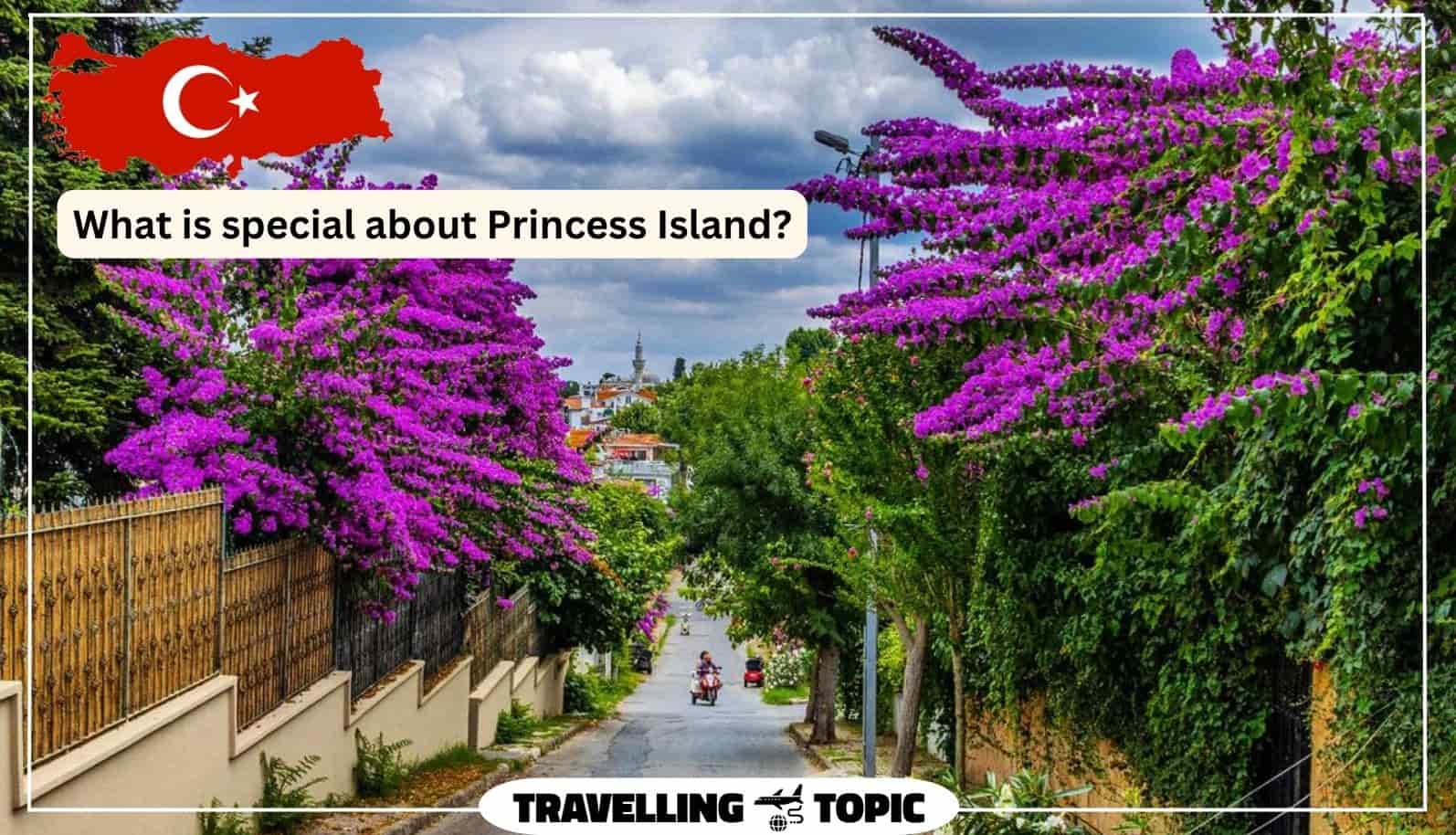What is special about Princess Island