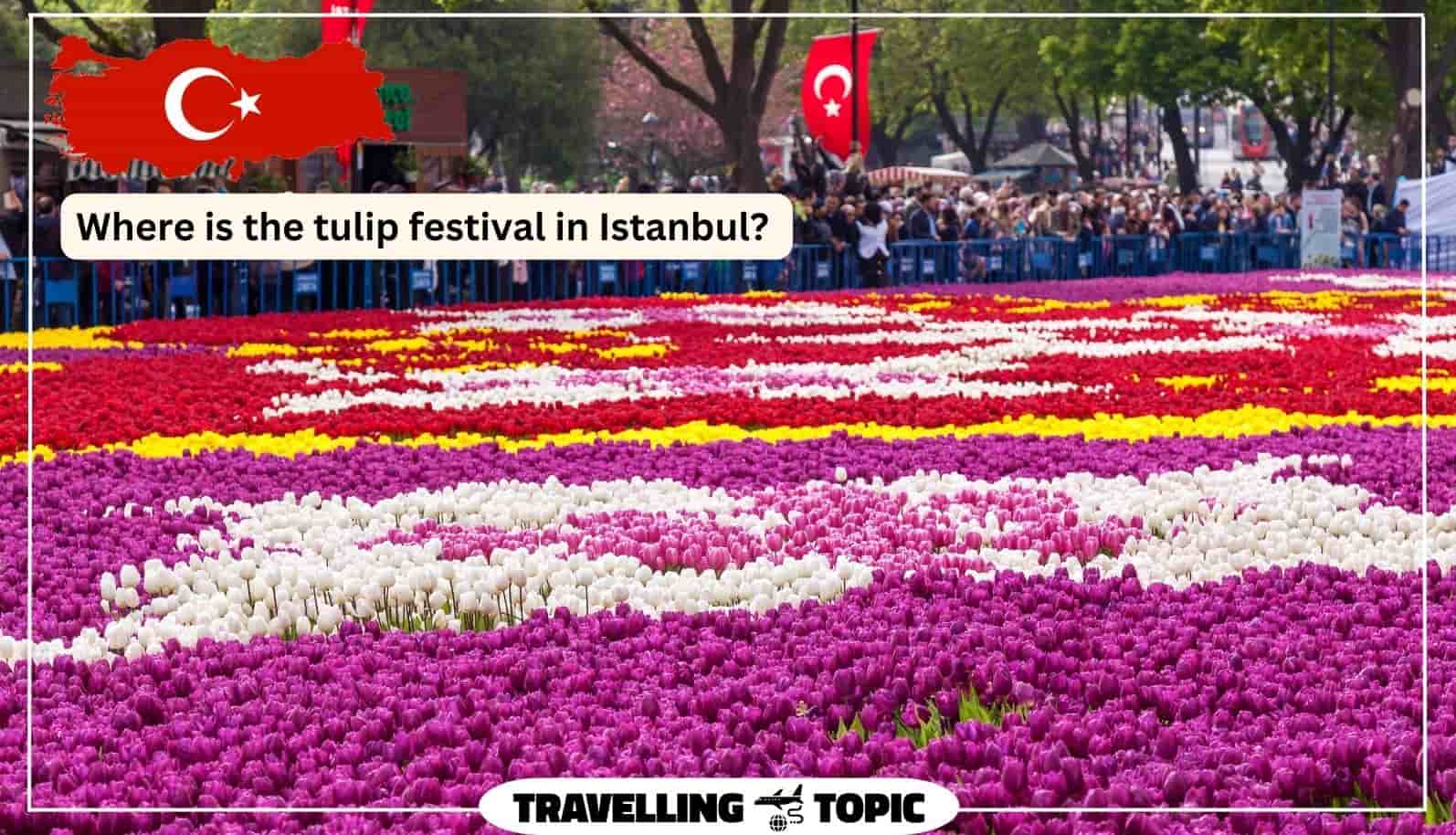 Where is the tulip festival in Istanbul