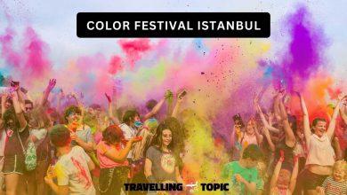 color festival istanbul