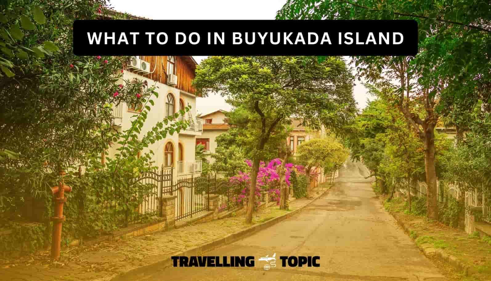 what to do in buyukada island