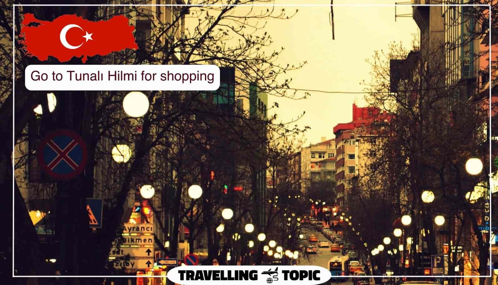 Go to Tunalı Hilmi for shopping
