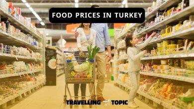 food prices in turkey