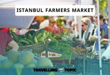 Istanbul farmers market