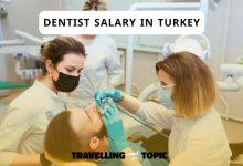 dentist salary in turkey