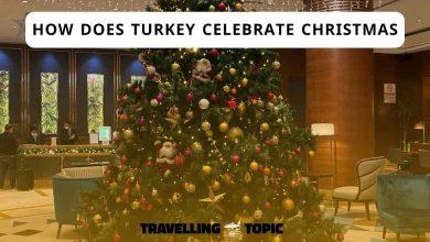 how does turkey celebrate christmas