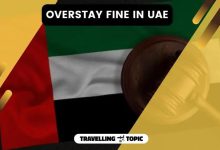 overstay fine in UAE