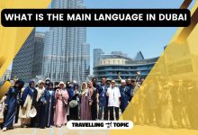 What Is The Main Language In Dubai
