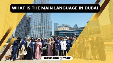 What Is The Main Language In Dubai