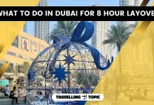 what to do in dubai for 8 hour layover