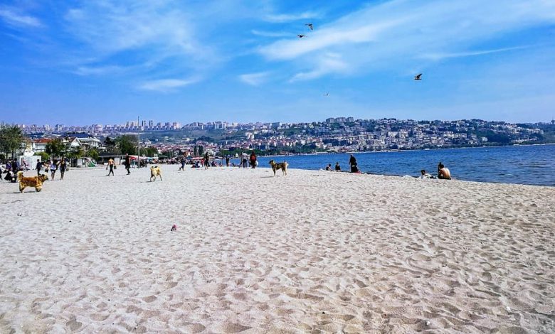 Buyukcekmece beach Istanbul
