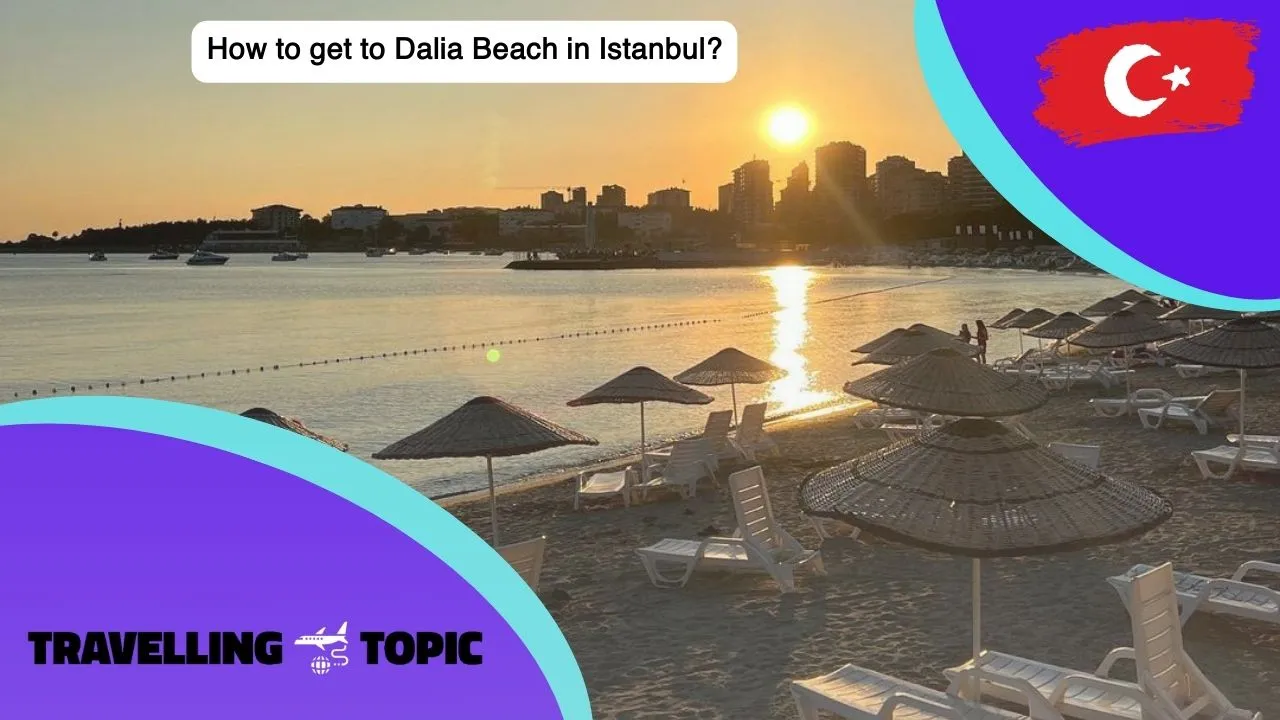 How to get to Dalia Beach in Istanbul?