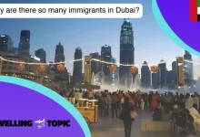 Why are there so many immigrants in Dubai