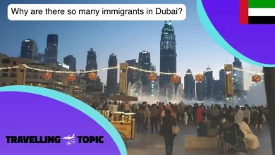 Why are there so many immigrants in Dubai