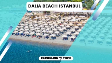 dalia beach istanbul