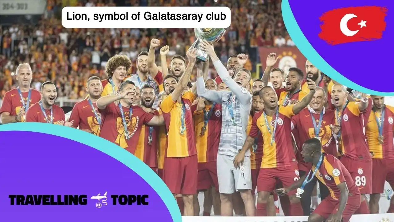 Lion, symbol of Galatasaray club