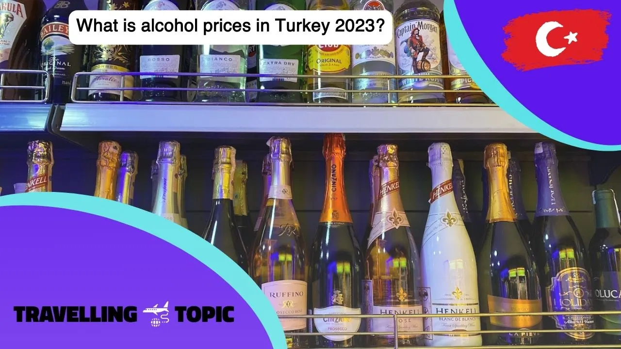 What is alcohol prices in Turkey 2023?