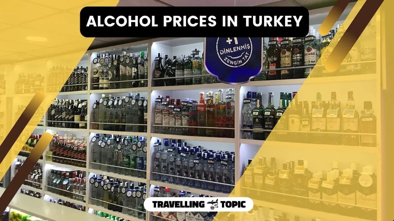 Alcohol Prices In Turkey 2024 Vodka, Beer, Wine, Whiskey