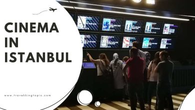 Cinema in Istanbul