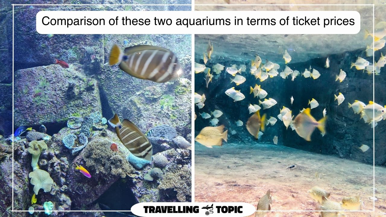 Comparison of these two aquariums in terms of ticket prices
