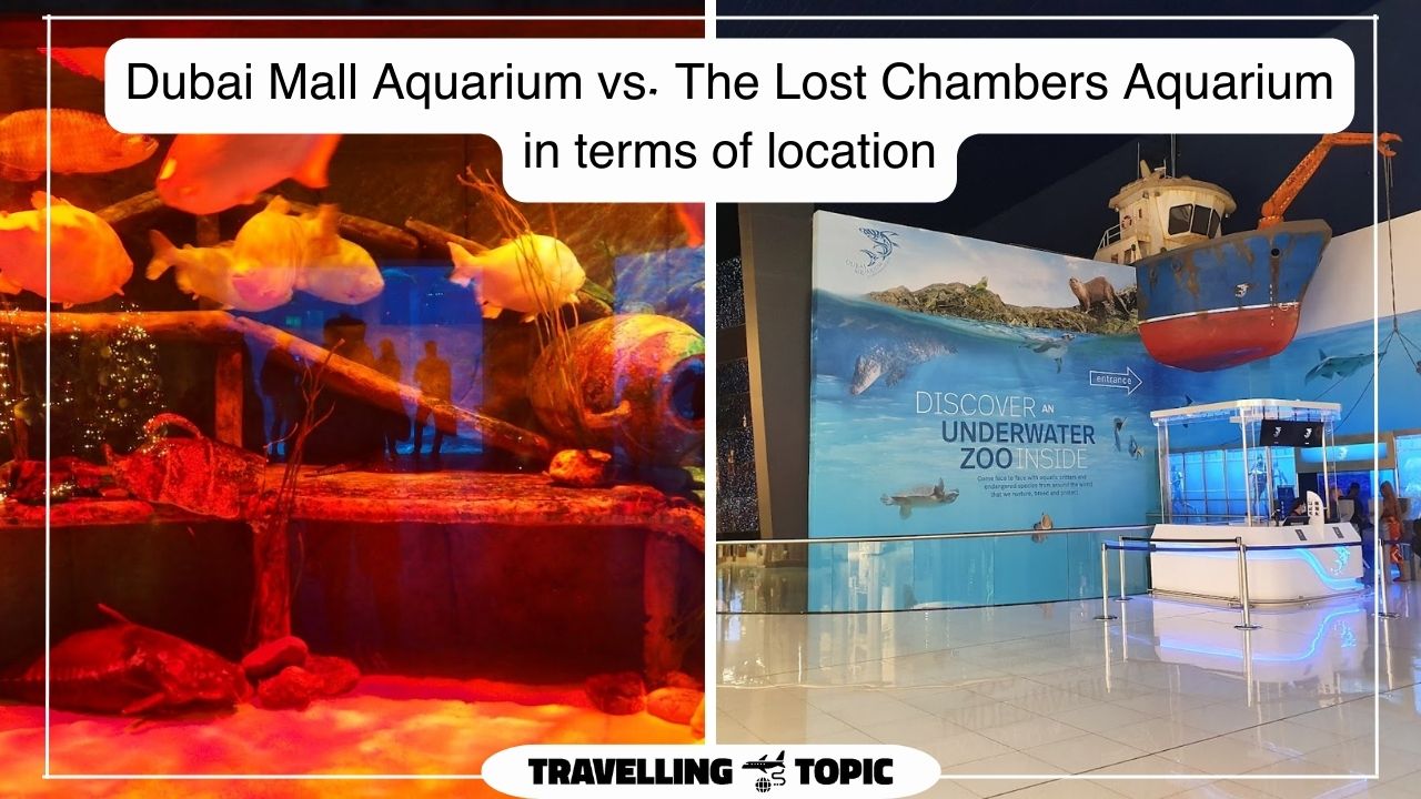 Dubai Mall Aquarium vs. The Lost Chambers Aquarium in terms of location