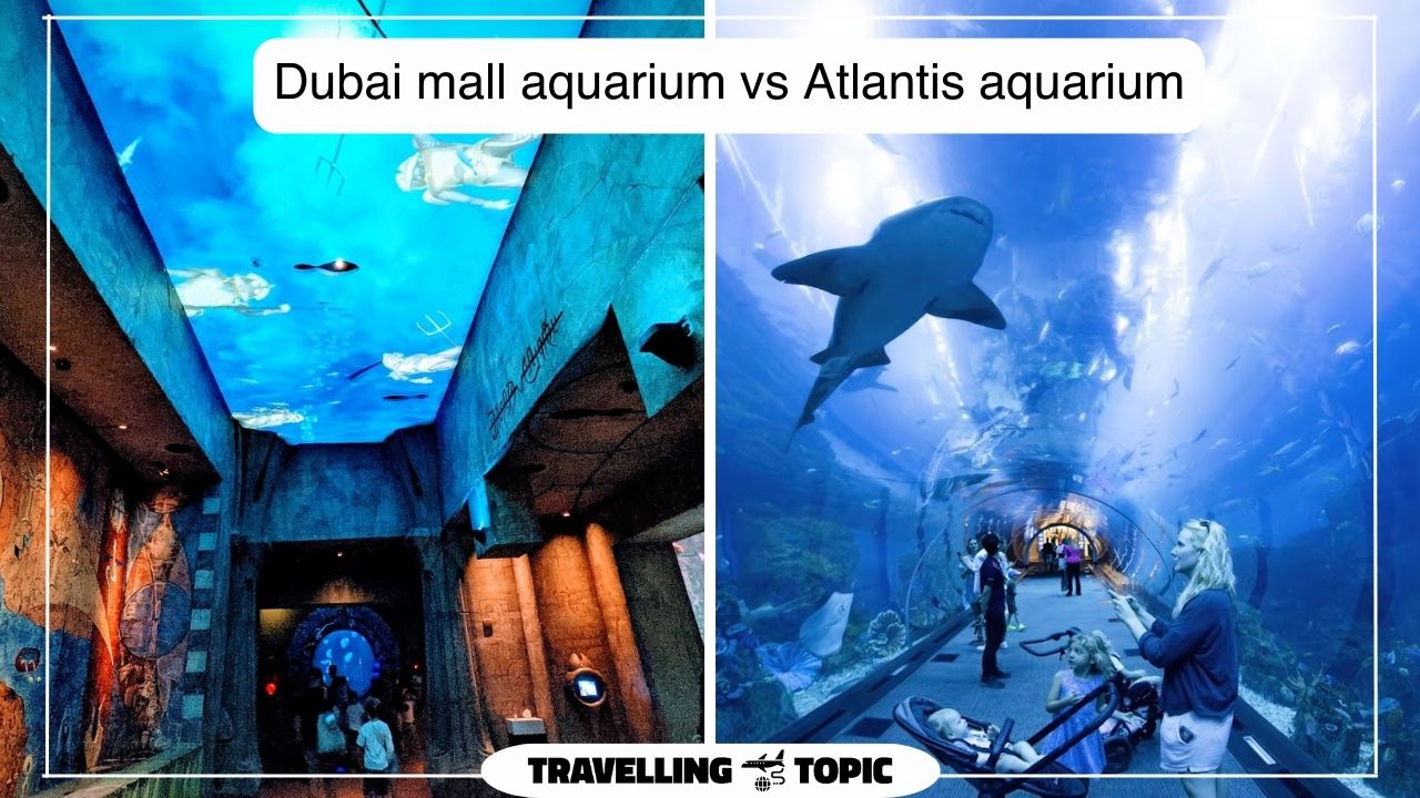 Dubai mall aquarium vs Atlantis aquarium 