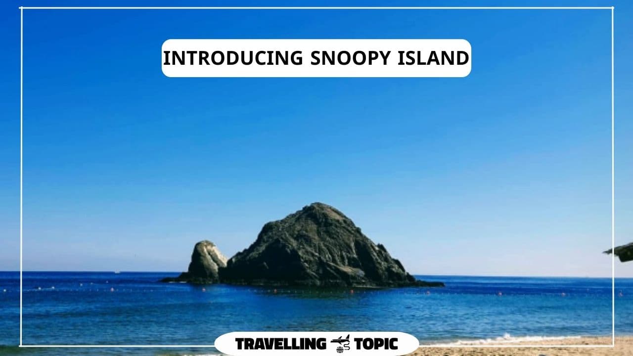 Introducing Snoopy Island