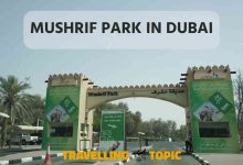 Mushrif Park In Dubai