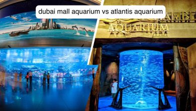 dubai mall aquarium vs atlantis aquarium