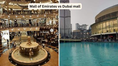 mall of emirates vs dubai mall