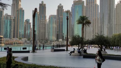 Dubai Mall To Burj Khalifa Walk & Distance